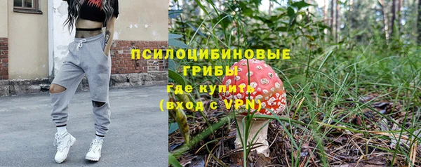 винт Нея