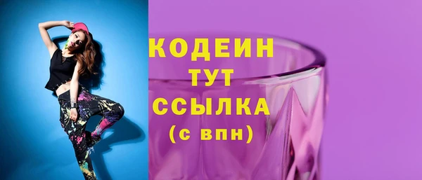 МДПВ Новозыбков