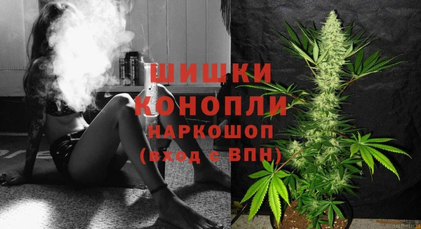 МДПВ Новозыбков