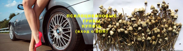МДПВ Новозыбков