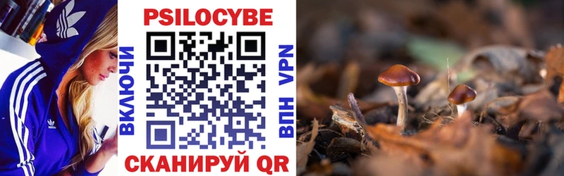 Псилоцибиновые грибы GOLDEN TEACHER  кракен вход  Соликамск 