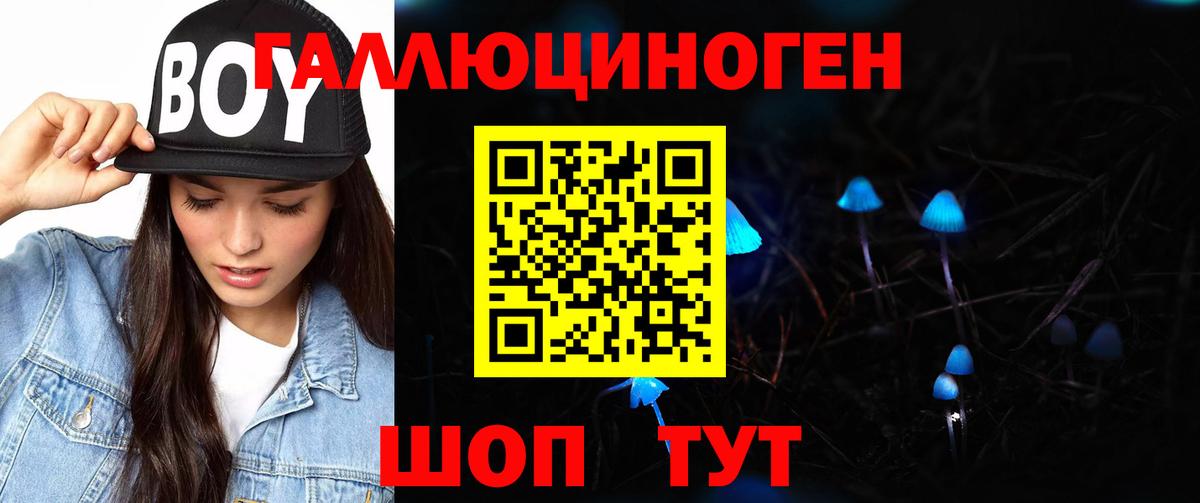 Галлюциногенные грибы Psilocybe  Псилоцибиновые грибы прущие грибы  Соликамск 